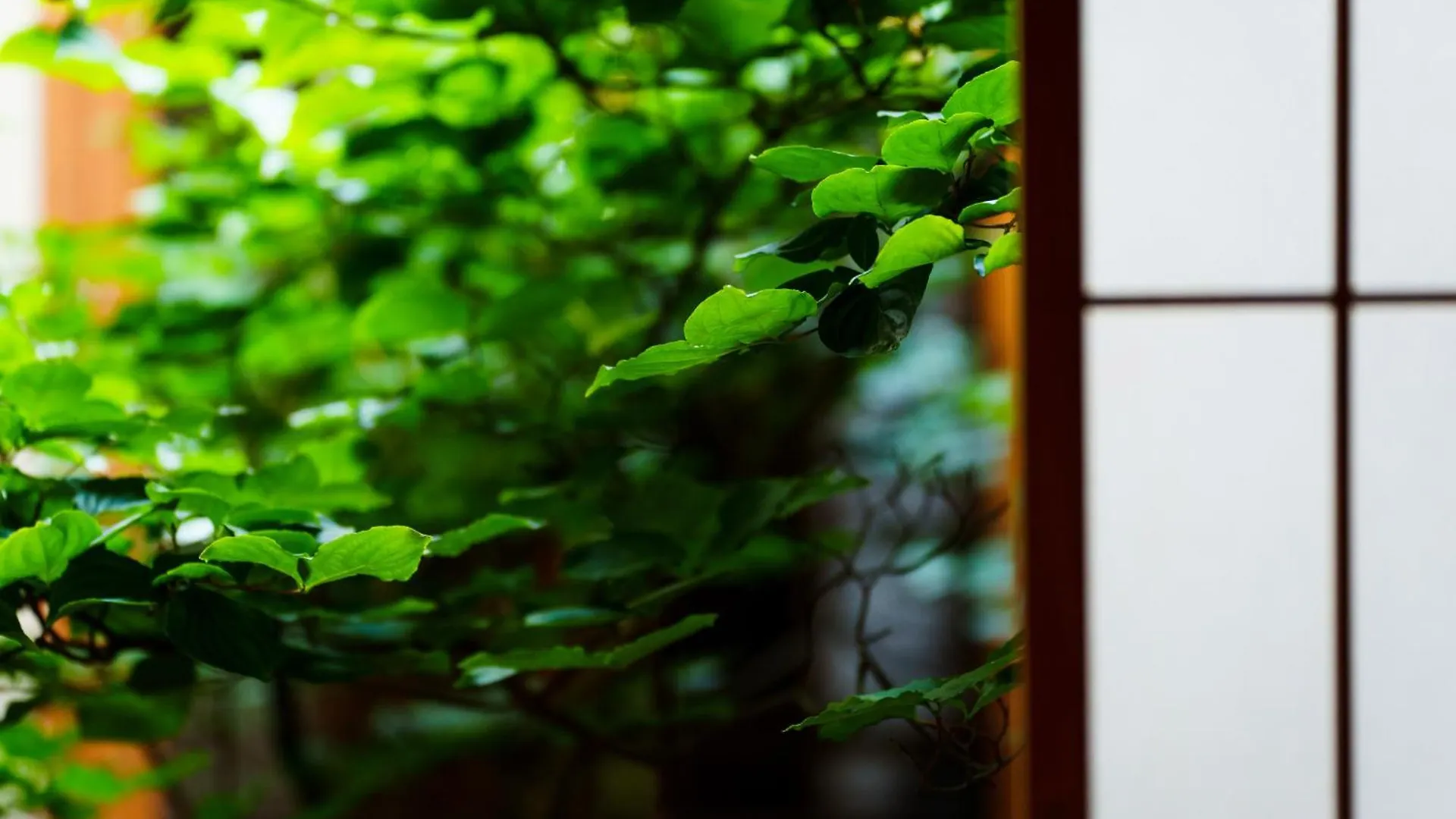 Hotori Villa Kyoto 0*,