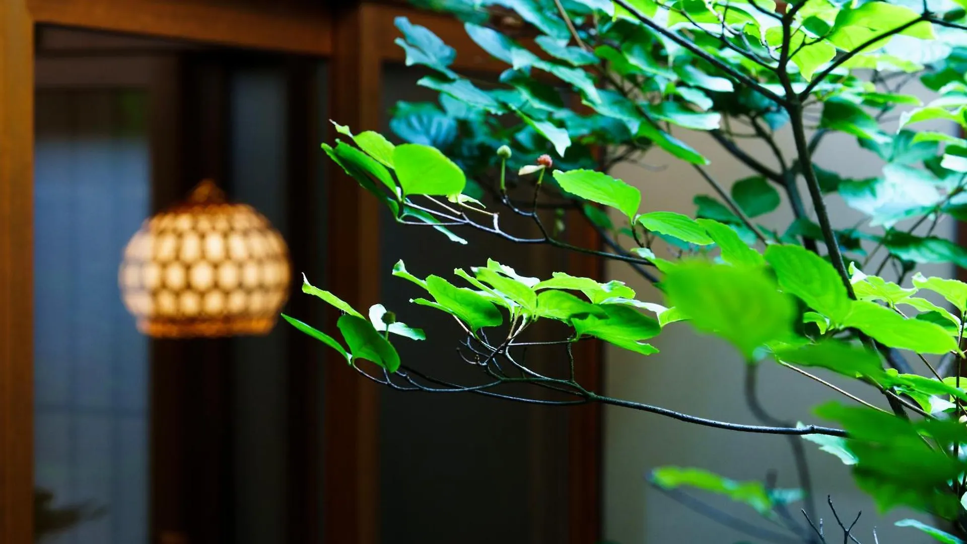 Hotori Villa Kyoto